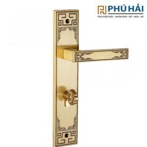 Khóa cửa nẹp Vickini 38404.101 RG