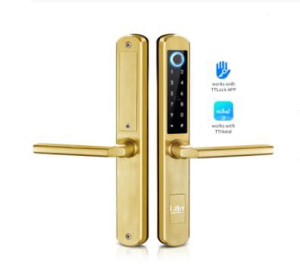 Khóa cửa thông minh 5 in 1 Laffer XF19B