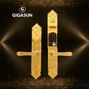 Khóa cửa thông minh Gigasun X2G