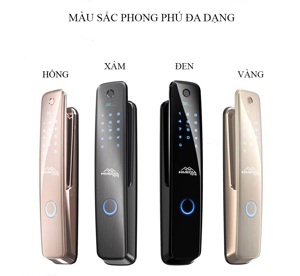 Khóa cửa thông minh Himedia P66