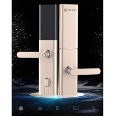 Khóa cửa thông minh OSN- 3365