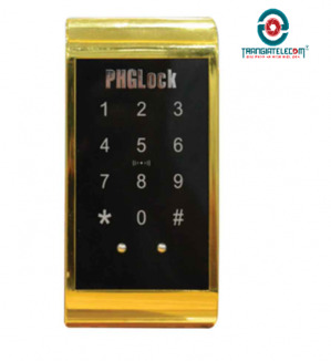 Khóa cửa tủ thẻ từ PGHLock CL9118