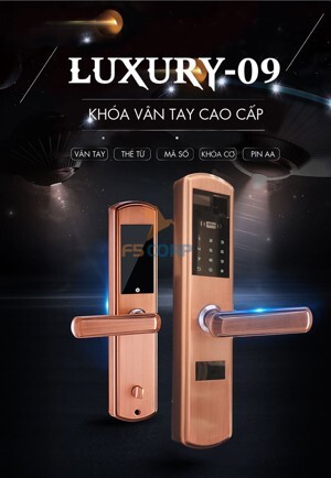 Khóa cửa vân tay 5A Luxury 09