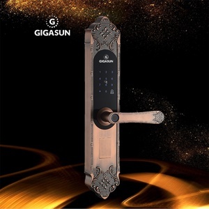 Khóa cửa vân tay cổ điển Gigasun X3R