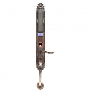 Khóa cửa vân tay Dessmann Classic K5