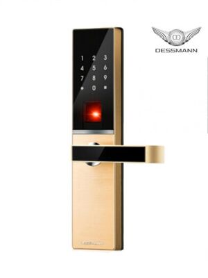 Khóa cửa vân tay Dessmann G810