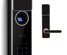 Khóa cửa vân tay điện tử Kaba-Probuck I100