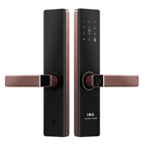 Khóa cửa vân tay IBC A2