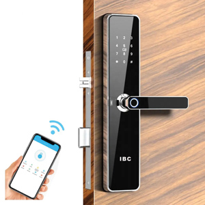 Khóa cửa vân tay  IBC PRO X10