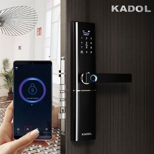 Khóa cửa vân tay Kadol FP8