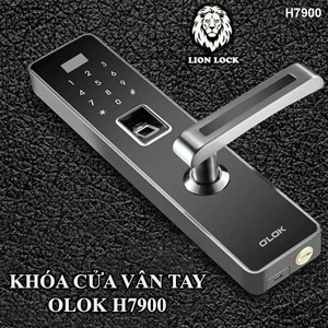 Khóa cửa vân tay O’LOK H7900