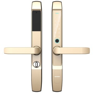 Khóa cửa Xingfa 6in1 Viro-Smartlock VR-S30E
