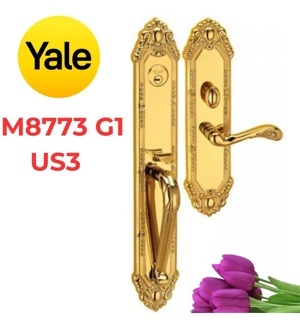 Khóa đại sảnh M8773 G1 US3