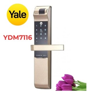 Khóa điện tử Yale YDM 7116