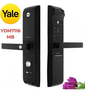 Khóa điện tử Yale YDM 7116