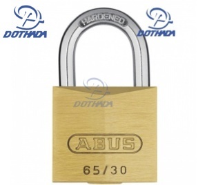 Khóa móc 50mm Master Lock 1150EFGDRF