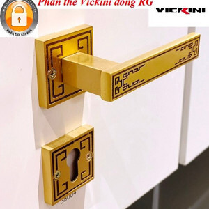 Khóa phân thể Vickini 38004.101 RG