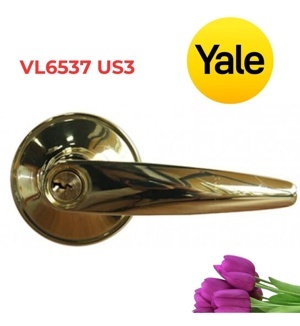 Khóa tròn gạt Yale VL6537 US3