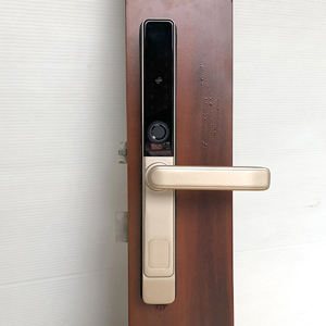Khóa vân tay cửa nhôm kính IKS L101