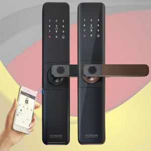 Khóa vân tay, thẻ từ, mã số Widmann F20