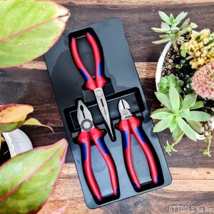 Kìm cắt thông dụng Knipex 70 02 160