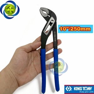 Kìm mỏ quạ Kingtony 6516-10C 10"