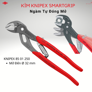 Kìm mỏ quạ Knipex 85 01 250