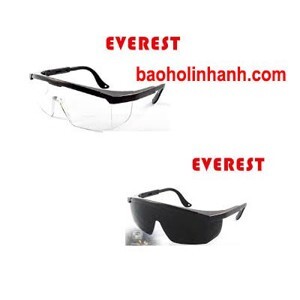 Kính bảo hộ chống bụi Everest EV-105B trắng