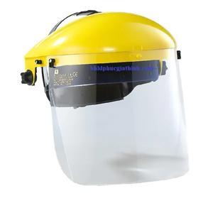 Kính che mặt Blue Eagle FC25