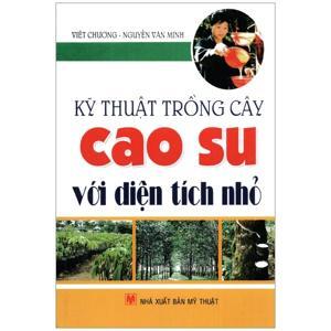 Kỹ Thuật Trồng Cây Cao Su Với Diện Tích Nhỏ