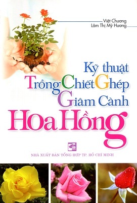 Kỹ thuật trồng chiết ghép giâm cành hoa hồng