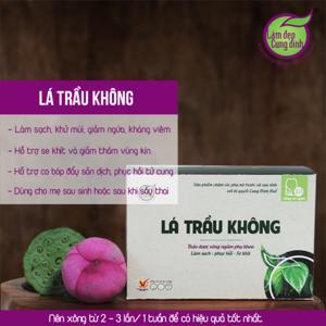 Lá trầu không Bảo Nhiên