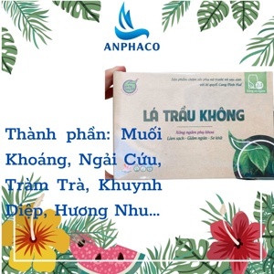 Lá trầu không Bảo Nhiên