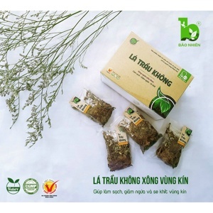 Lá trầu không Bảo Nhiên