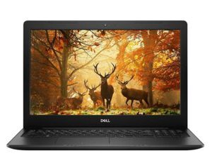 Laptop Dell Inspiron 3593 N3593A - Intel Core i3-1005G1, 4GB RAM, HDD 1TB, Intel UHD Graphics, 15.6 inch