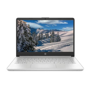 Laptop HP 14s-dq1100TU 193U0PA - Intel Core i3-1005G1, 4GB RAM, SSD 256GB, Intel UHD Graphics, 14 inch