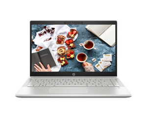 Laptop HP Pavilion 14-ce3013TU 8QN72PA - Intel Core i3-1005G1, 4GB RAM, SSD 256GB, Intel UHD Graphics, 14 inch