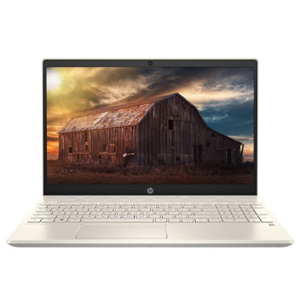 Laptop HP Pavilion 15-cs3008TU 8QP02PA - Intel Core i3-1005G1, 4GB RAM, SSD 256GB, Intel UHD Graphics, 15.6 inch