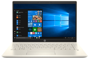 Laptop HP Pavilion x360 14-dw0063TU 19D54PA - Intel Core i7-1065G7, 8GB RAM, SSD 512GB, Intel UHD Graphics, 14 inch