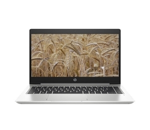 Laptop HP Probook 445 G6 6XQ03PA - AMD Ryzen 5 2500U, 8GB RAM, SSD 256GB, AMD Radeon Vega 8 Graphics, 14 inch