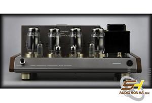 Amply Leben CS-1000P Stereo