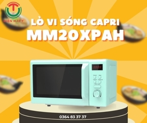 Lò vi sóng âm hoặc để bàn Capri MM20XPAH