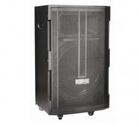 Loa Acnos CB391G