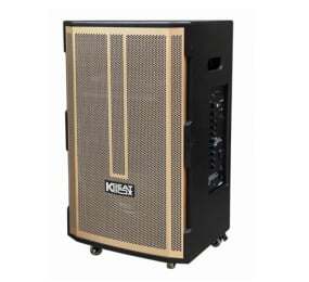 Loa Acnos CB392G
