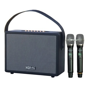 Loa Acnos CS270