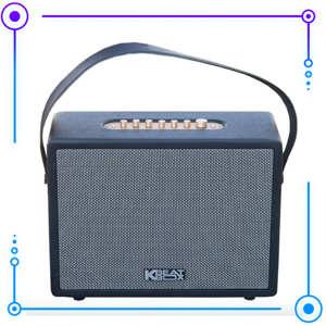 Loa Acnos CS270