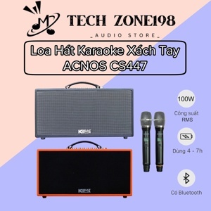 Loa Acnos CS300