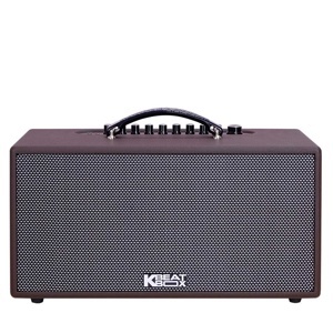 Loa Acnos CS391