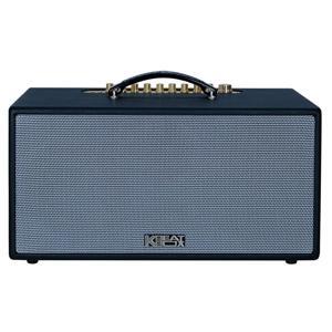 Loa Acnos CS445D