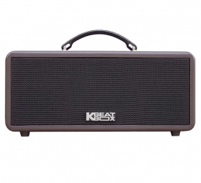 Loa Acnos KS362S